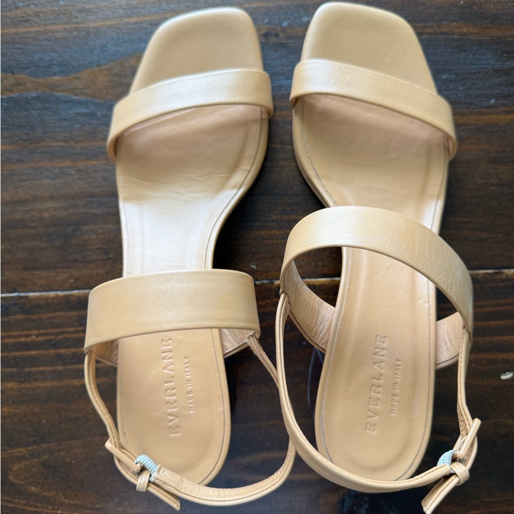 Everlane Tan Sandals